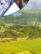 Andhra Loyola College :: A College With Potential For Excellence